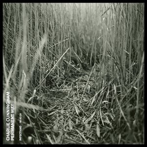 国产99996在线亚洲
